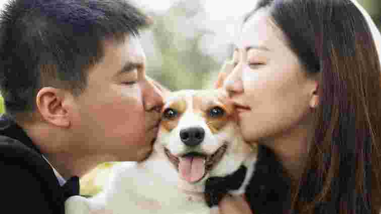 Відповідь може вас здивувати: чи подобаються собакам ваші поцілунки