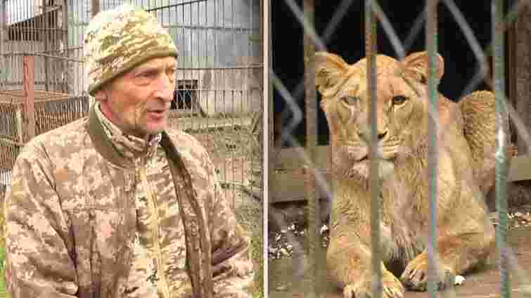 У Хмельницькому оголосили підозру власнику притулку, з якого втекли дві левиці