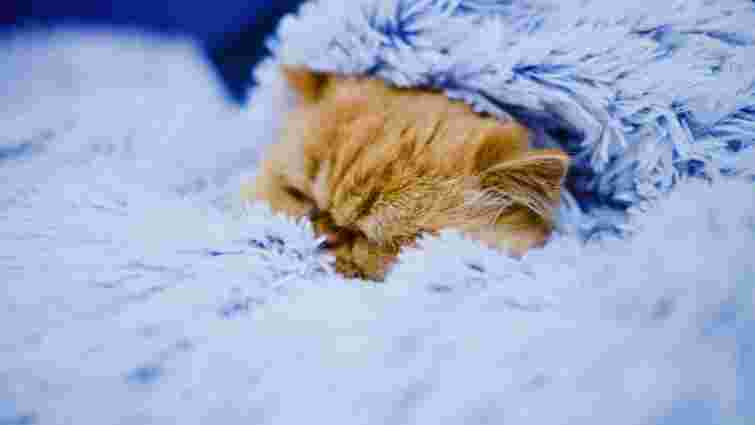 Просто кинути в пралку не можна: як випрати махровий плед, щоб не зіпсувати