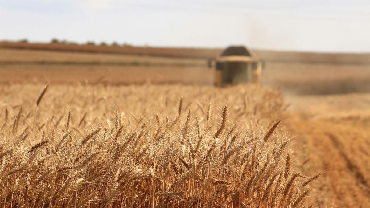 Україна створить продовольчий хаб у західній Африці