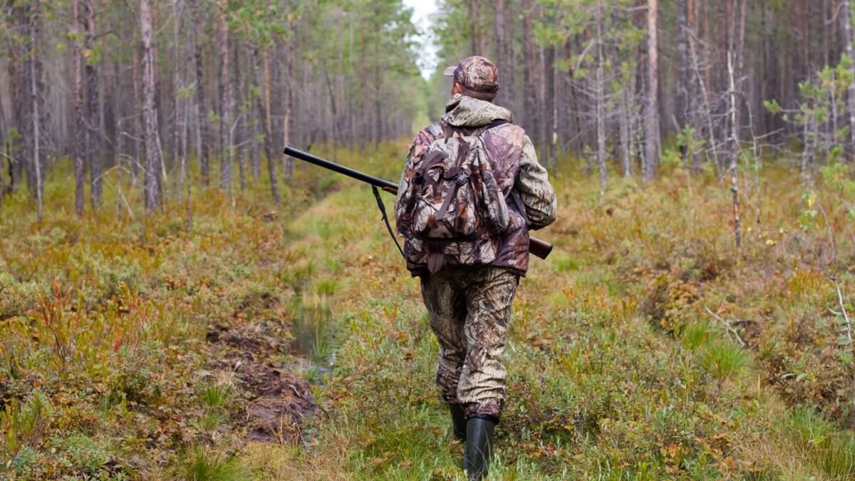 Львівський митрополит ПЦУ висловився проти відстрілу диких тварин попри поширення сказу