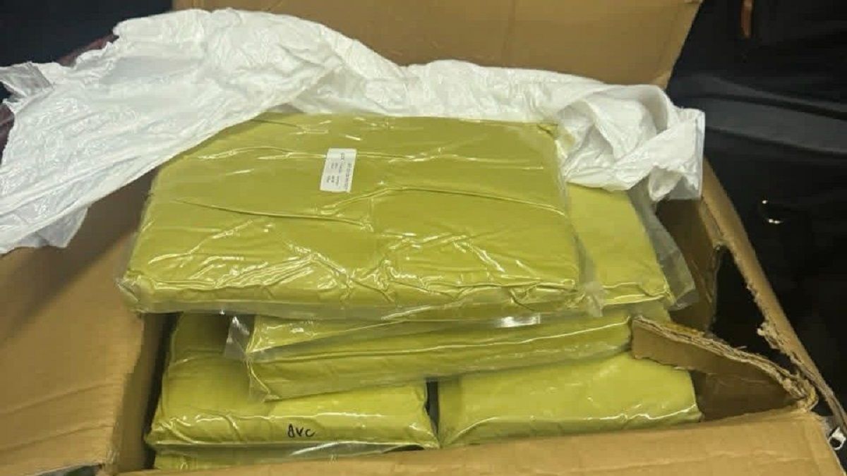 Закарпатські митники вилучили у водія мікроавтобуса понад 500 кг кратому