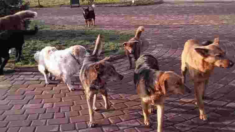 Суд покарав львів’янку за розповсюдження приватних даних сусідів у фейсбуці