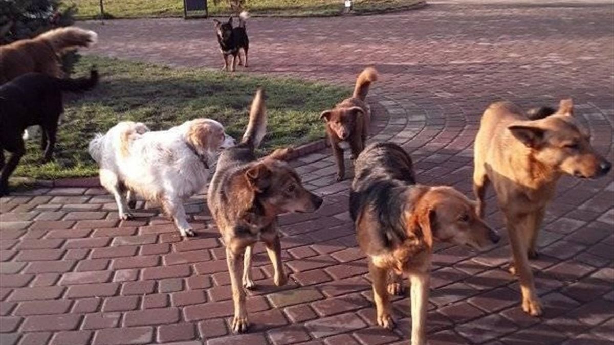 Суд покарав львів’янку за розповсюдження приватних даних сусідів у фейсбуці