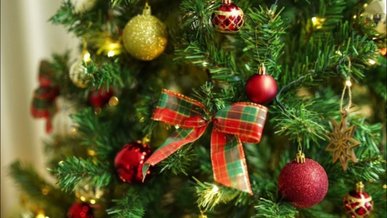 Рік Червоного Вогняного коня: як трендово прикрасити ялинку у 2026 році