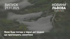 Пануватиме осінь: синоптики розповіли про погоду на Львівщині у перші дні зими