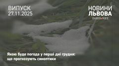 Пануватиме осінь: синоптики розповіли про погоду на Львівщині у перші дні зими