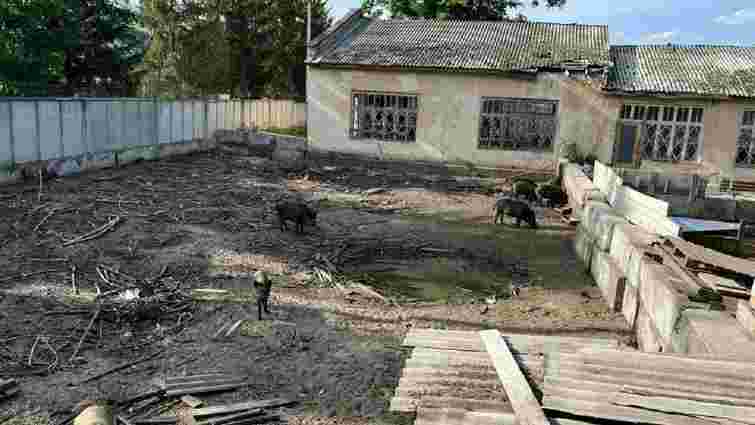 Верховний Суд повернув громаді ділянку скандального бізнесмена в Брюховичах