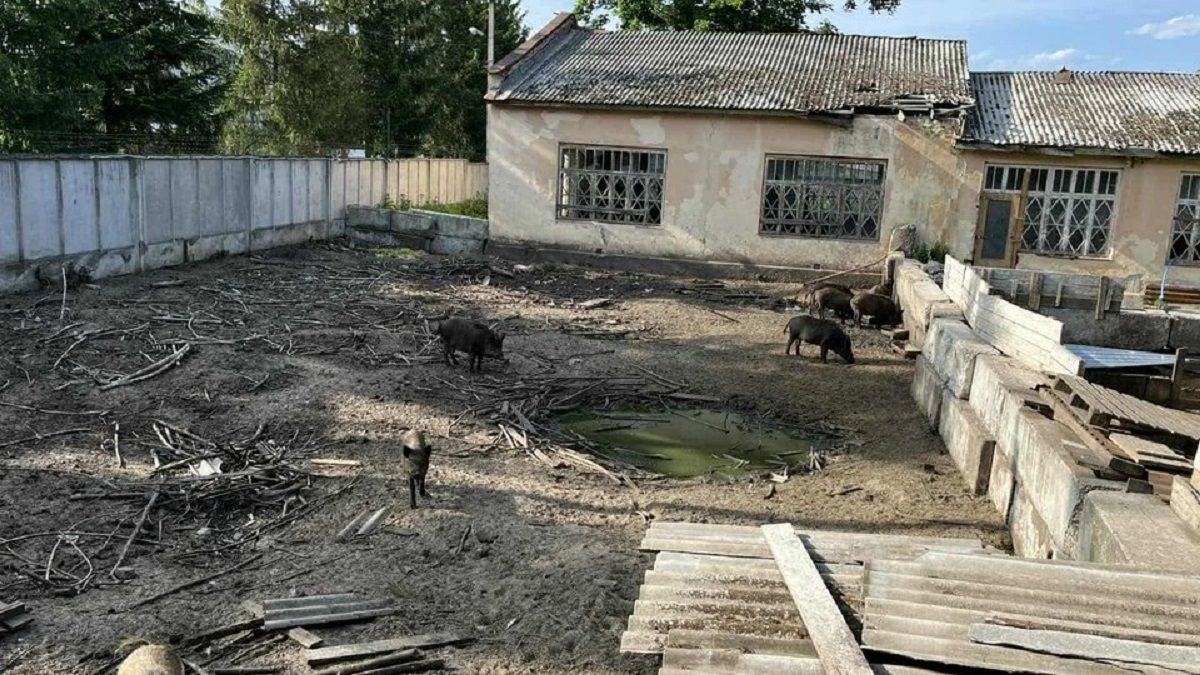 Верховний Суд повернув громаді ділянку скандального бізнесмена в Брюховичах
