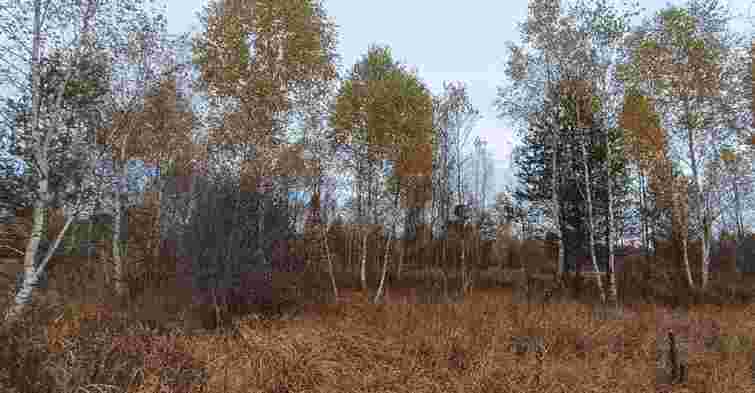 Міськрада на Львівщині вирішила продати землі майбутнього природного заказника