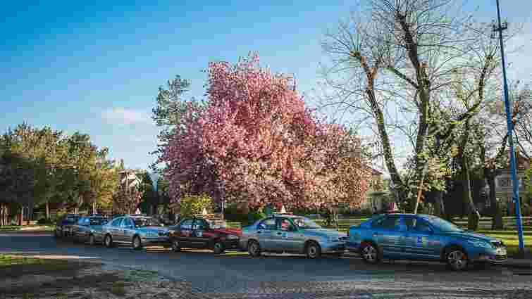 В Ужгороді за хабар від учениці оштрафували інструктора автошколи