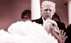 День після ультиматуму