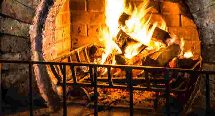 У приватному будинку на Львівщині знайшли мертвими 32-річну жінку та двох дітей