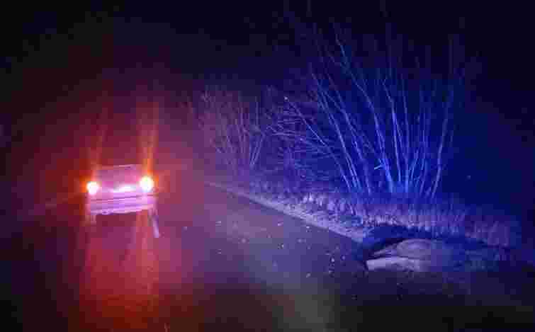 На Львівщині водій Volkswagen Golf на смерть збив 30-річного пішохода