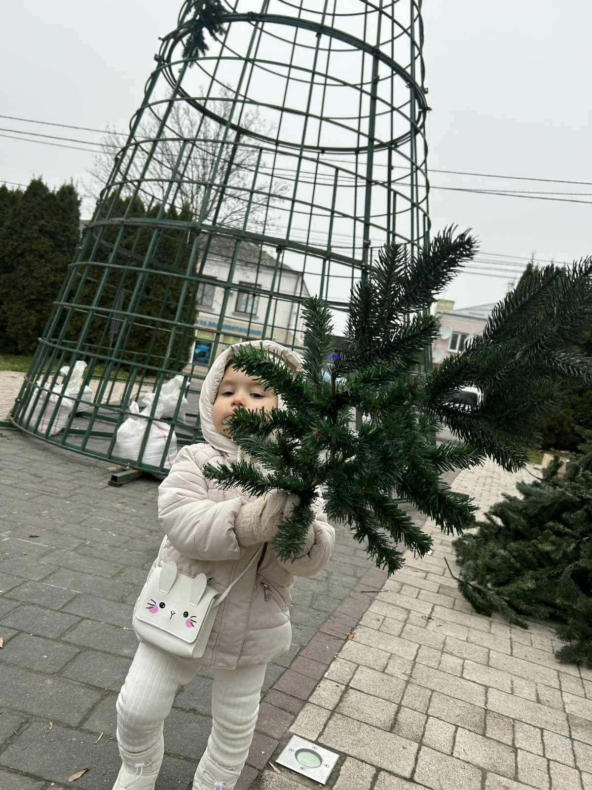 У Винниках вперше за п'ять років встановлять різдвяну ялинку