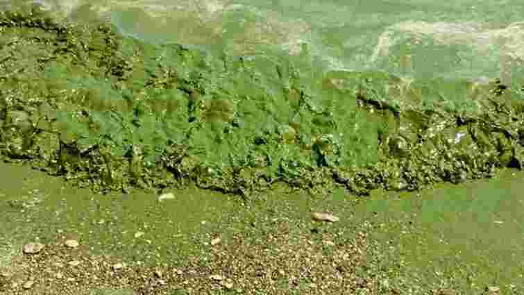 Хакери отримали листування росіян із планами створити екологічну катастрофу в Херсоні