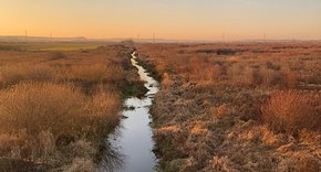 У Львові напрацьовують стратегію розвитку заказника «Північні Торфовища» на 525 га