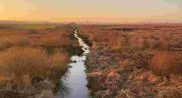 У Львові напрацьовують стратегію розвитку заказника «Північні Торфовища» на 525 га