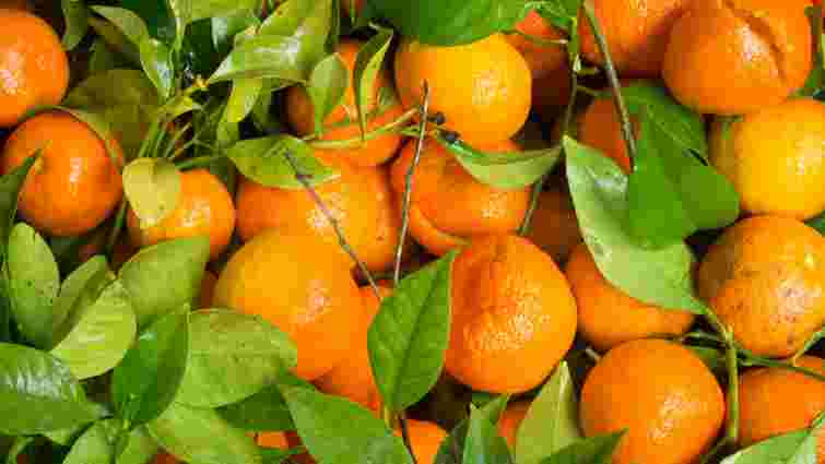 Смак вас не розчарує: як обрати ідеальні мандарини за запахом і формою