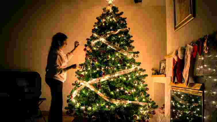 Жива чи штучна: яку ялинку обрати, щоб не зіпсувати собі свято 