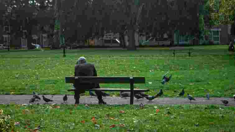 Ви їх повільно вбиваєте: чому не можна годувати пташок хлібом