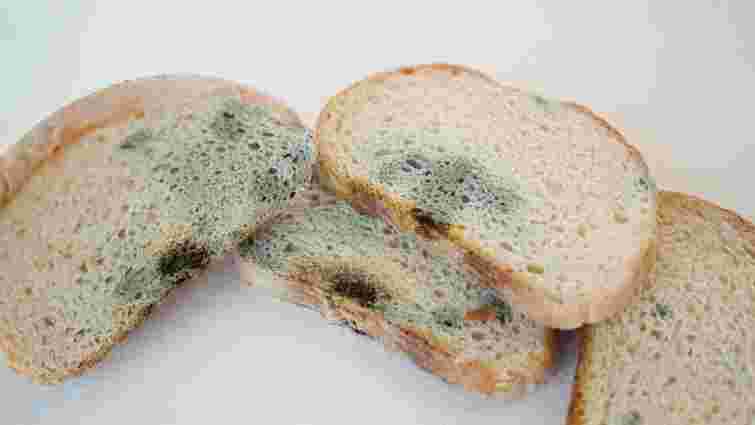 Ви хоча б раз задавали собі це питання: чи можна зрізати цвіль з хліба та з'їсти решту