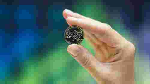 НБУ ввів в обіг нові 10-гривневі монети з областями України