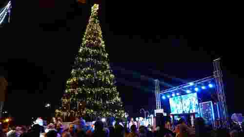 У центрі Ужгорода встановлюють різдвяну ялинку