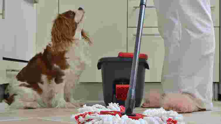 Ніколи не використовуйте ці засоби для прибирання, якщо у вас є домашні улюбленці