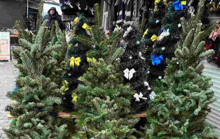 У Тернополі визначили 12 локацій для офіційного продажу ялинок