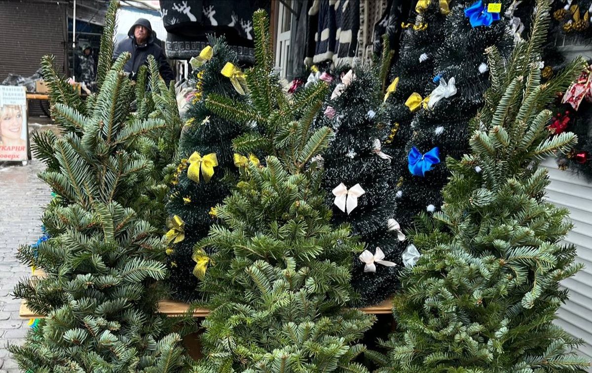 У Тернополі визначили 12 локацій для офіційного продажу ялинок