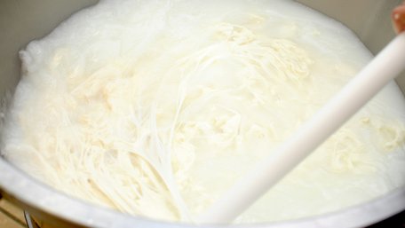 Вам не треба цілий день: як приготувати домашній кисломолочний сир за 30 хвилин