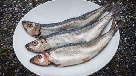 Є три типові ознаки: як вибрати оселедець з ікрою, а не з молоками