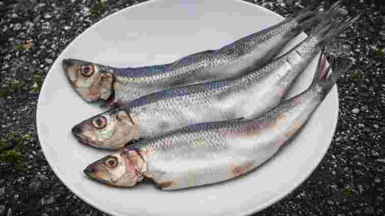 Є три типові ознаки: як вибрати оселедець з ікрою, а не з молоками