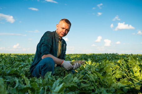 Спека, посуха, зливи: як українським аграріям підлаштуватися під нову реальність клімату