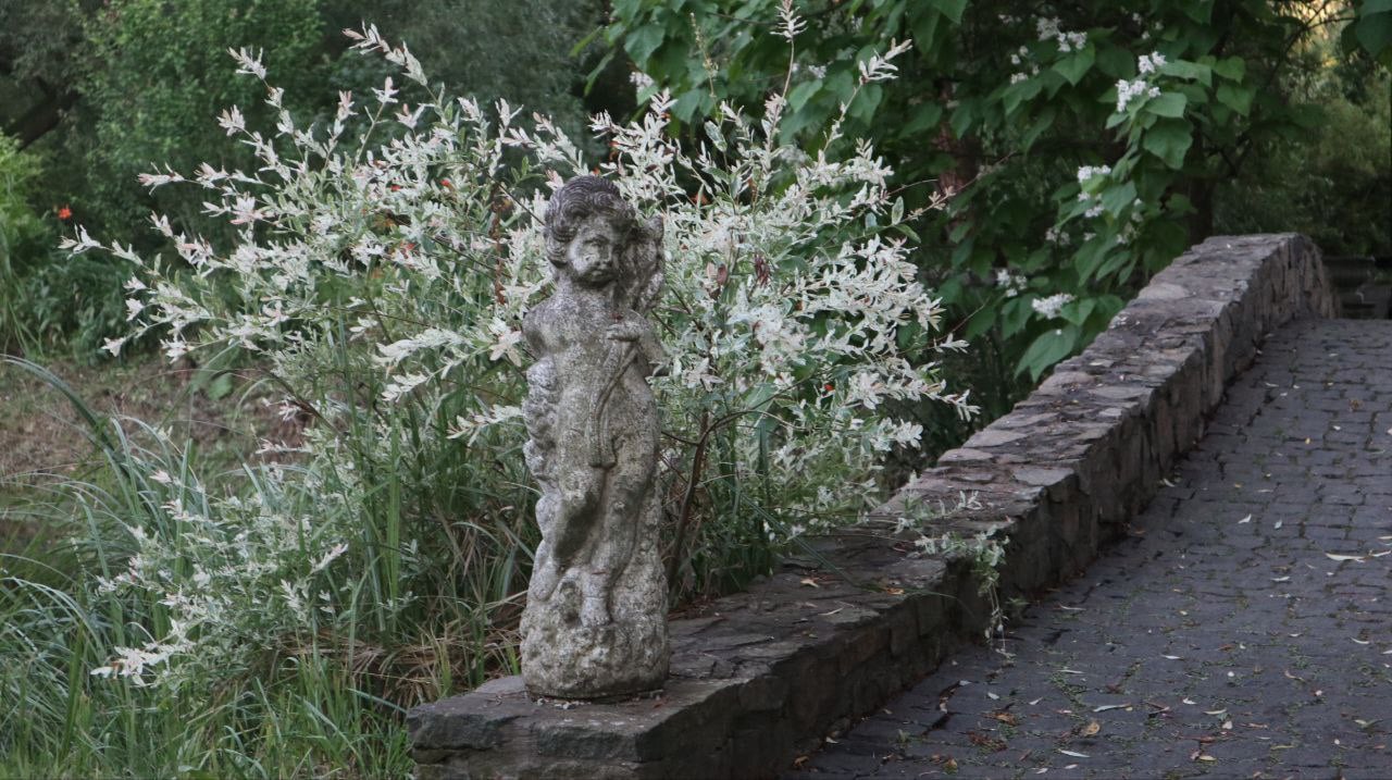 Довкола замку є ландшафтний парк