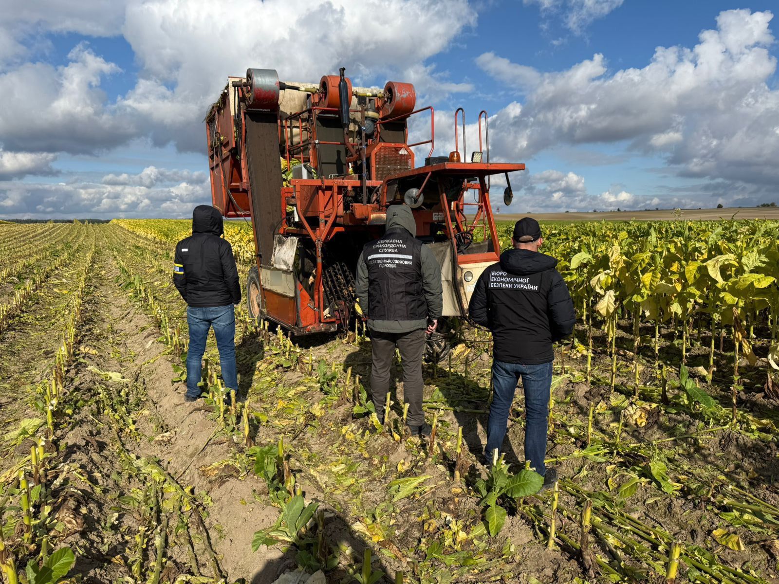 Під час обшуків правоохоронці вилучили тонни тютюну, техніку та обладнання (фото прикордонників)