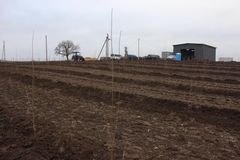 На Волині заклали найбільший вишневий сад в області