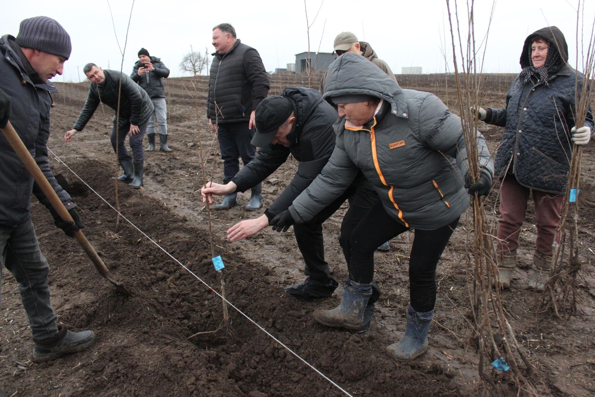 На грантові гроші вже закупили саджанці, систему поливу та спеціальну техніку