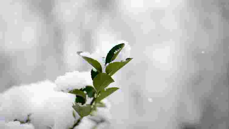 Холодна зима чи рекордний врожай: важливі прикмети на День святого Миколая