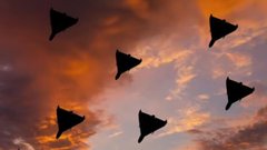 Російські дрони пошкодили житловий будинок та продовольчий склад у Луцьку