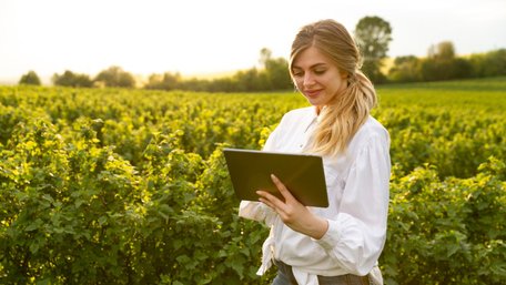 Як цифровізація допомагає оптимізувати роботу фермерських господарств