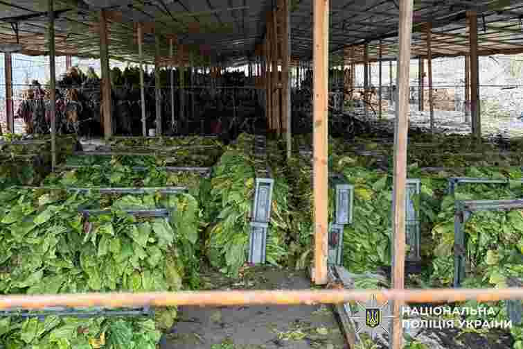 Хмельницькі поліцейські ліквідували підпільний тютюновий бізнес на 25 млн грн