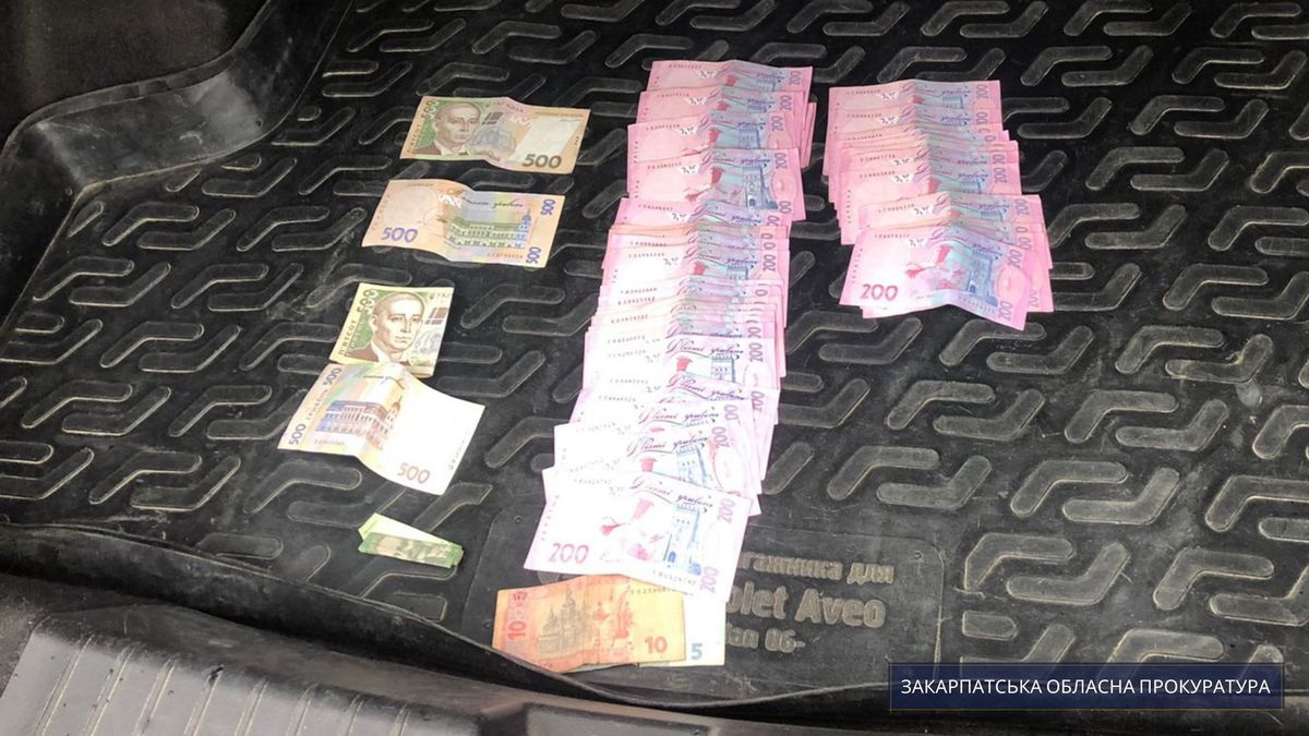 На Закарпатті оштрафували депутата, який брав відкати на посаді директора лісгоспу