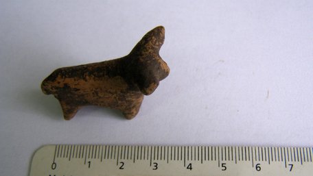 На Прикарпатті знайшли унікальний артефакт Трипільської культури