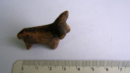 На Прикарпатті знайшли унікальний артефакт Трипільської культури