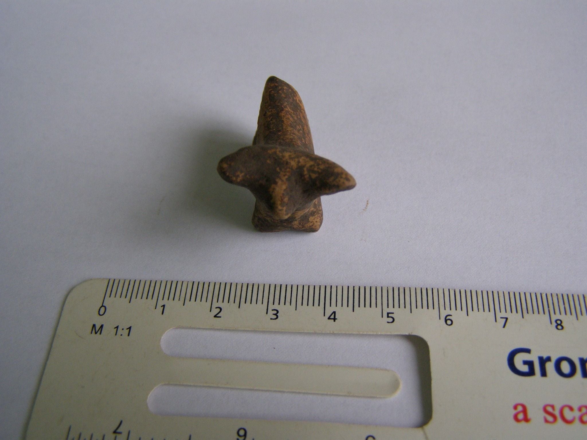 Поселення трипільців біля Галича нараховувало до сотні жител 