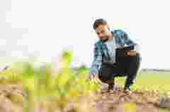 Точне землеробство починається з аналізу ґрунту: як Open Agri Club допомагає фермерам