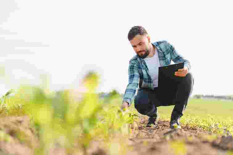 Точне землеробство починається з аналізу ґрунту: як Open Agri Club допомагає фермерам