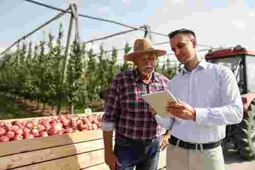 Підтримка з посівною: як працює допомога партнерам у межах Open Agri Club